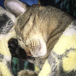 Meet your Posher, Tanya